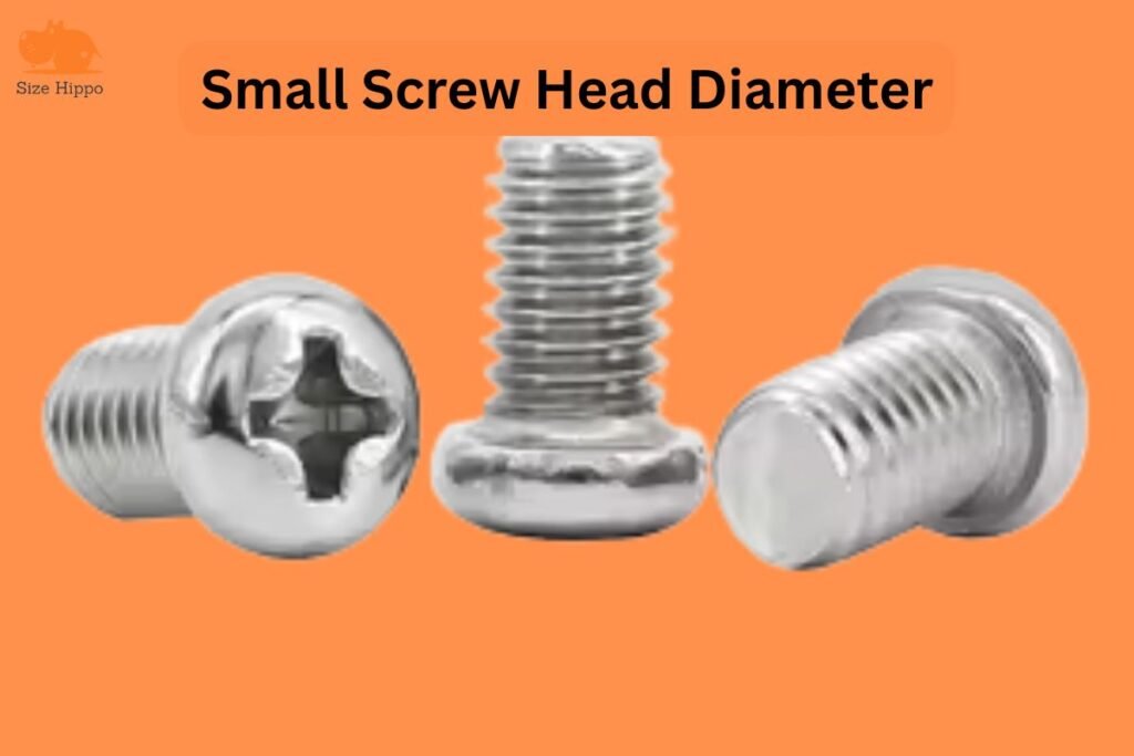How Big Is 5mm