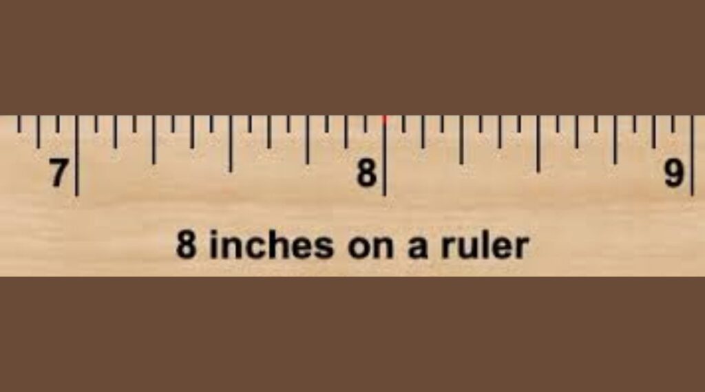 8 Inch on a Ruler