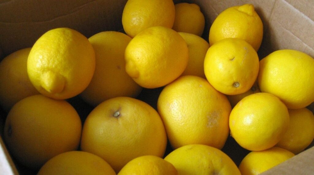 things that are 2 inches long