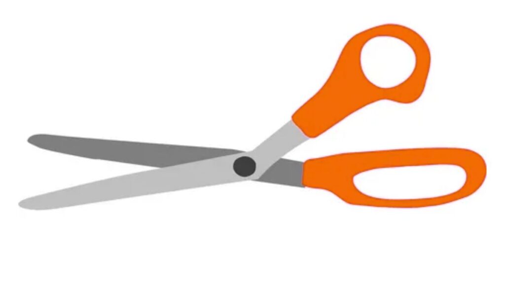 Scissors as Standard Size Reference