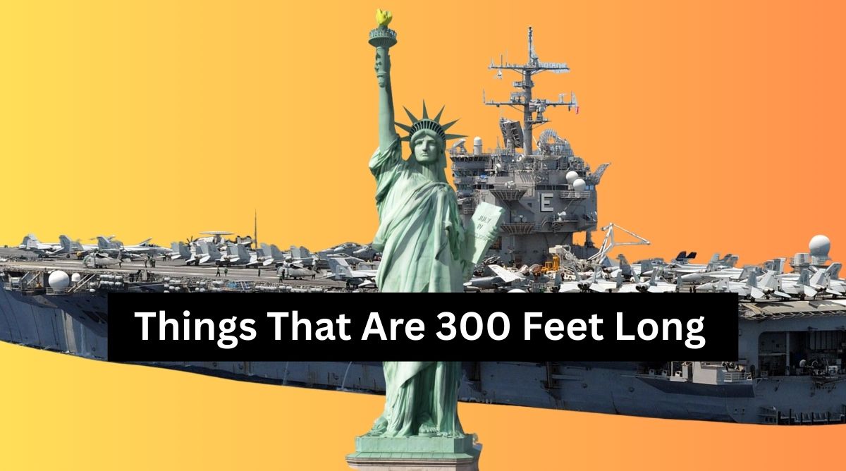 Things That Are 300 Feet Long 