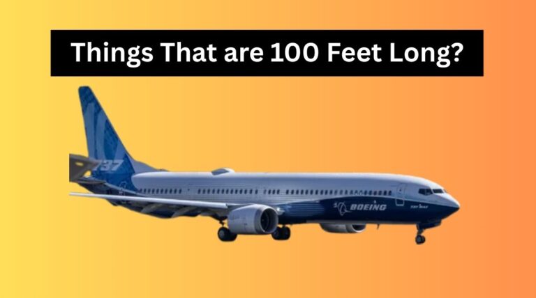 Things That are 100 Feet Long?