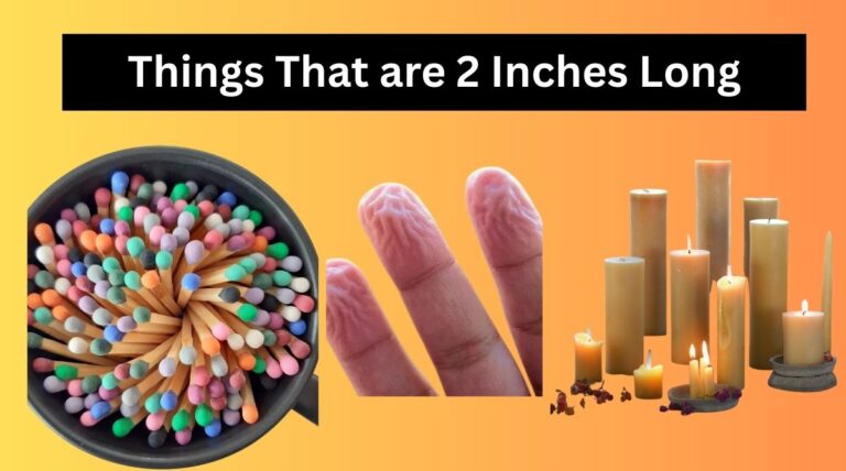 Things that are 2 Inches long