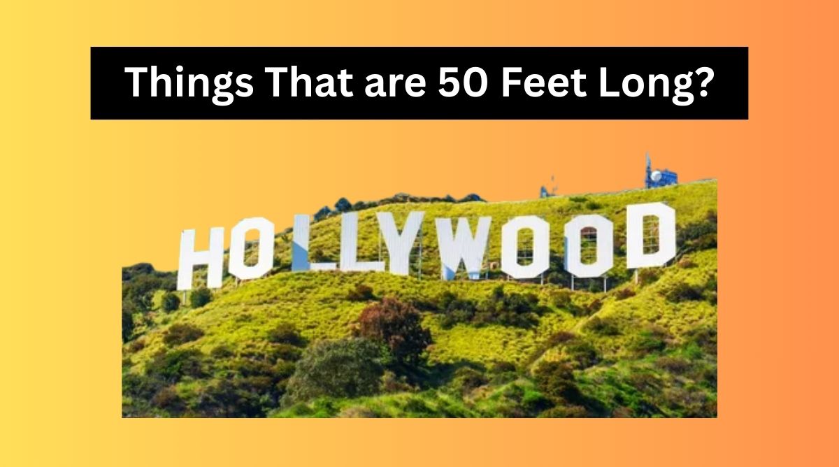 Things that are 50 Feet Long