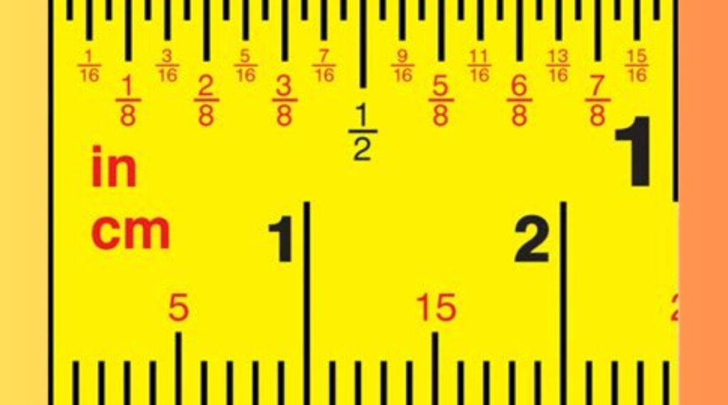 Things That are 2 Inches Long