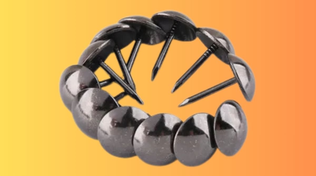 Tack Size How Long is 1 Inch? 17+ Things That Are Exactly 1 Inch Long
