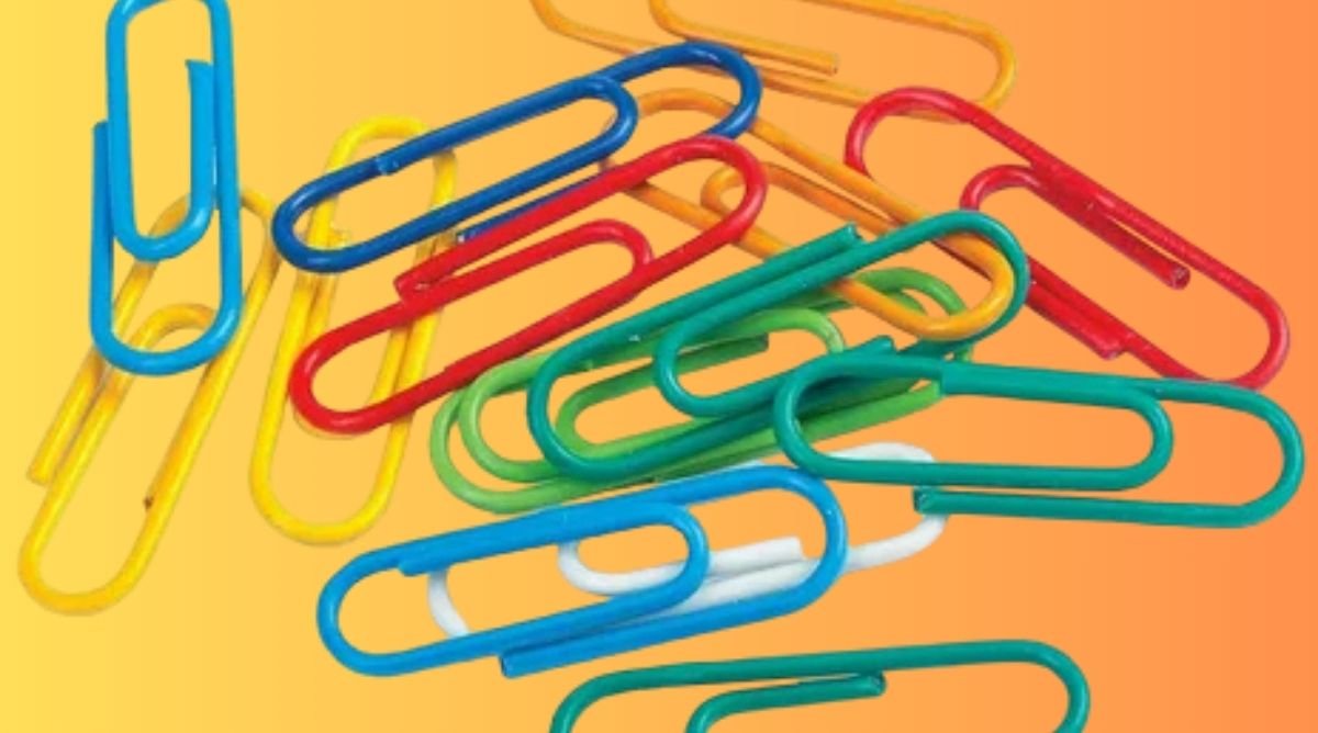 Three Inch Paper Clip How Long Is 3 Inches? 19+ Common Things That Are 3 Inches