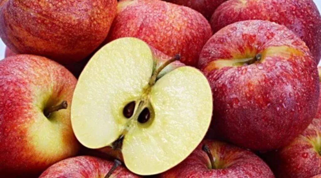 Apple Seed