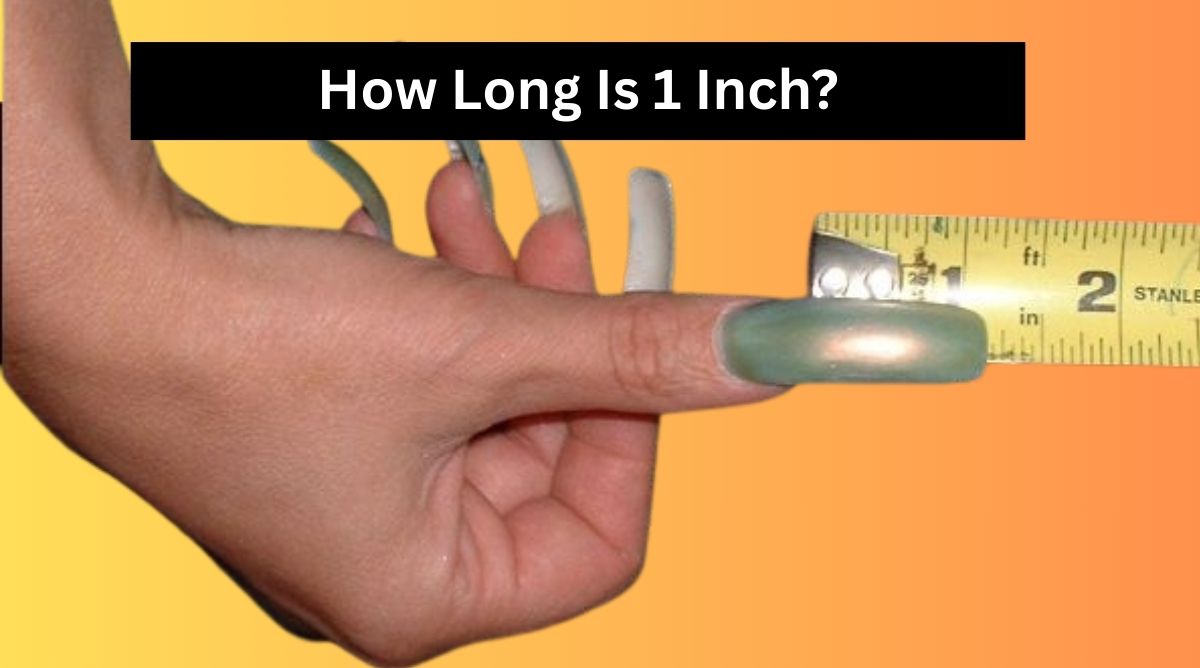How Long Is 1 Inch