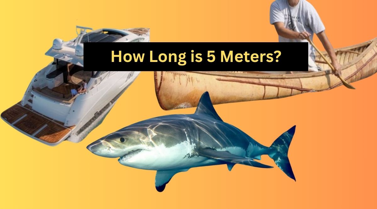 How Long is 5 Meters?