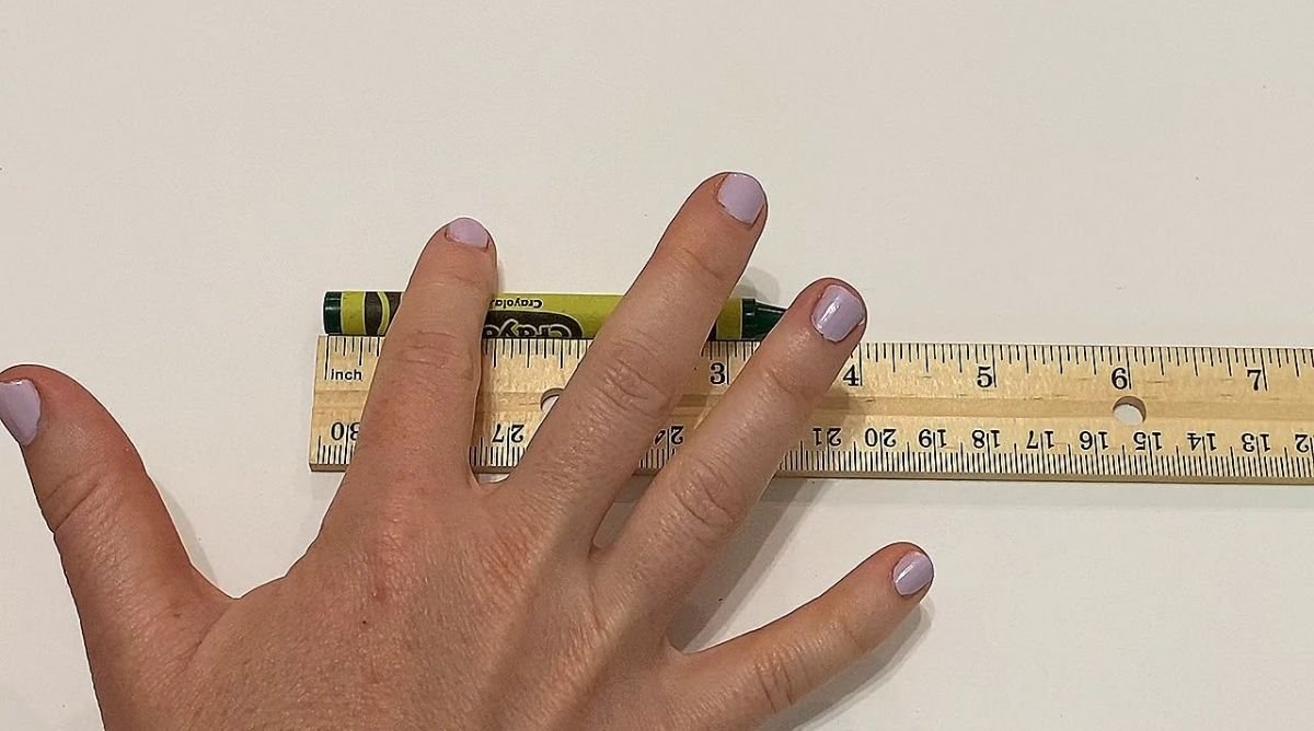 How Long Is 3 Inches? 19+ Common Things That Are 3 Inches
