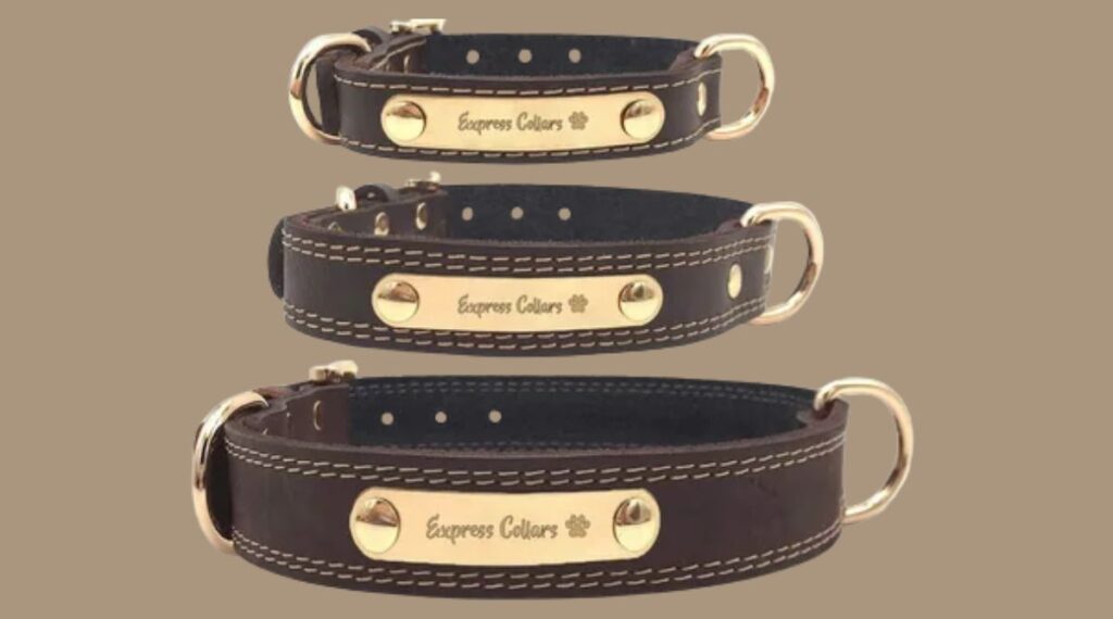 Medium-sized Dog Collar