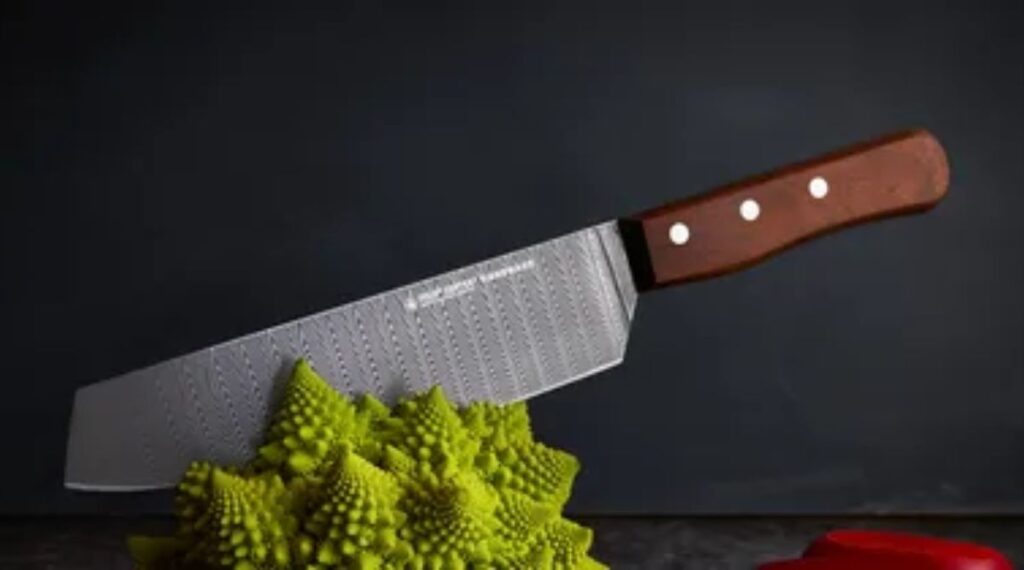 Professional Chef’s Knife