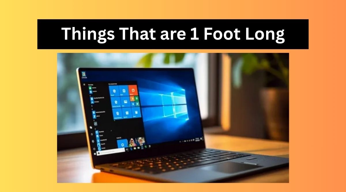 Things That are 1 Foot Long