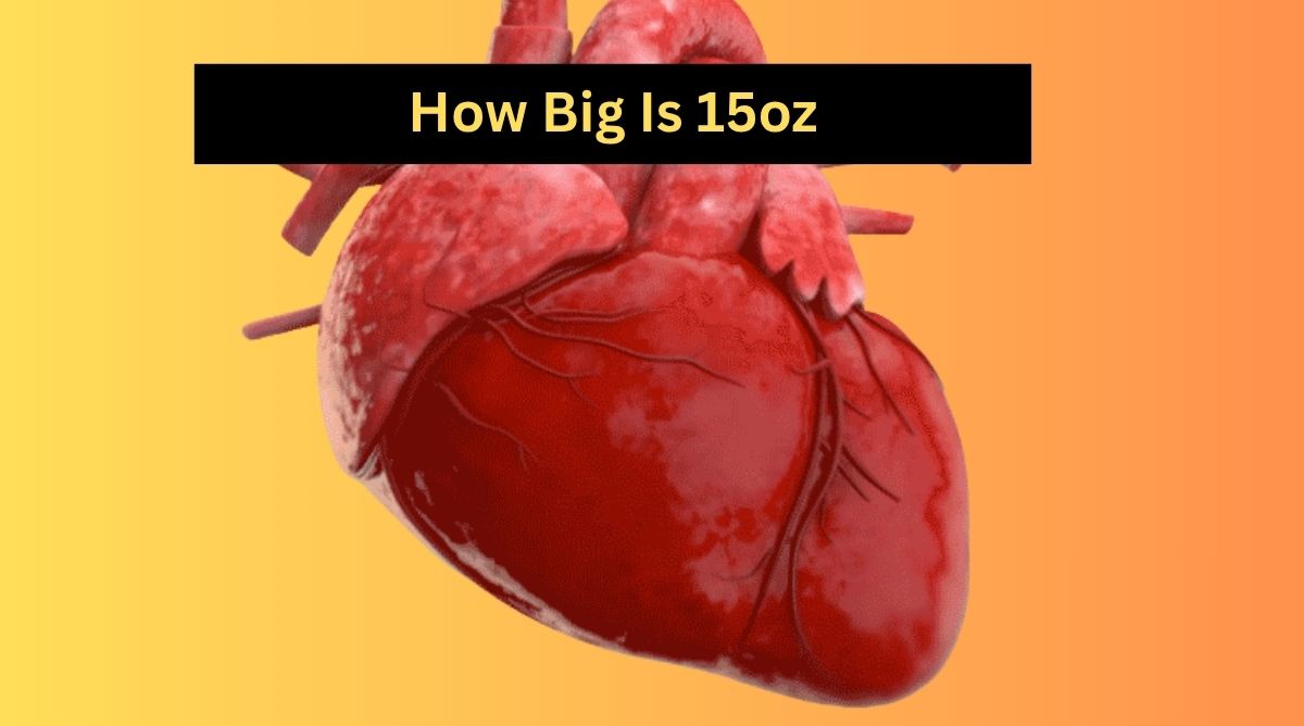 How Big Is 15oz?
