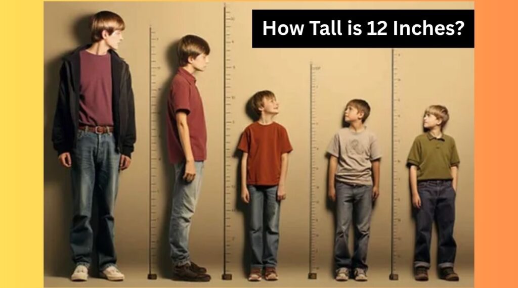 How Tall is 12 Inches?