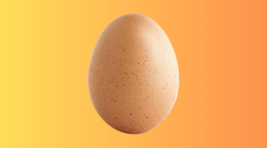 One Large Egg Weighing Close to 2 Ounces Without the Shell