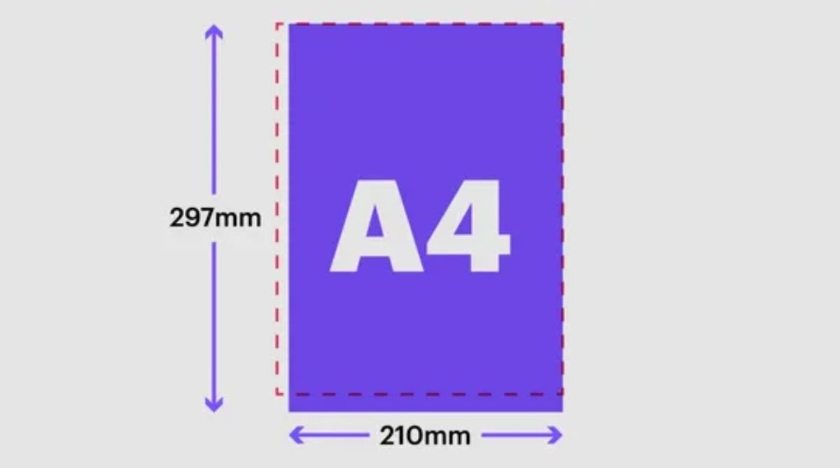 How Big is 12 Inches? Things That Are 12 Inches Long