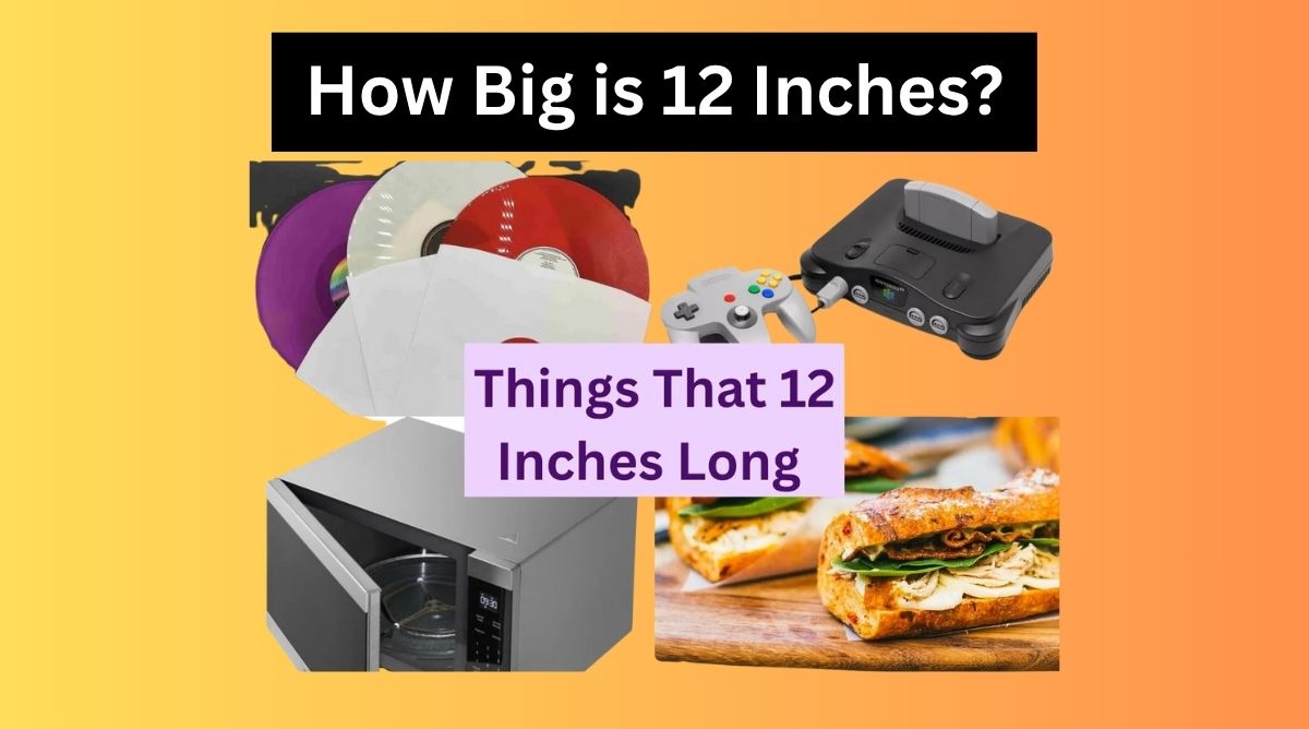 Things That Are 12 Inches Long
