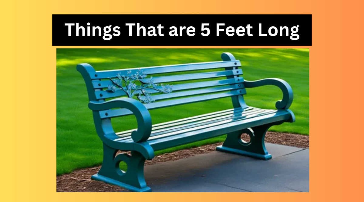 Things That are 5 Feet Long