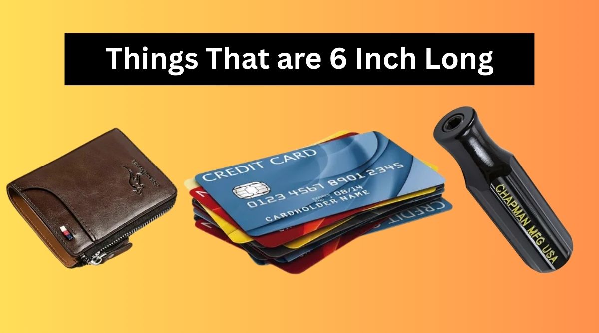 Things that are 6 Inches long