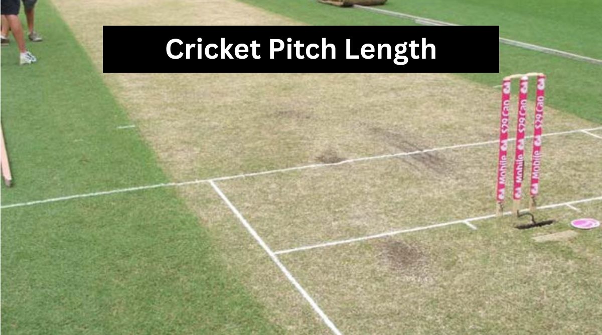 Cricket Pitch Length