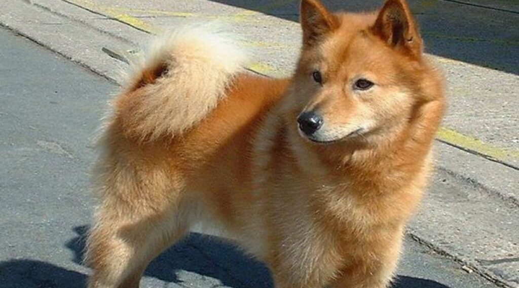 What Weighs 30 Pounds