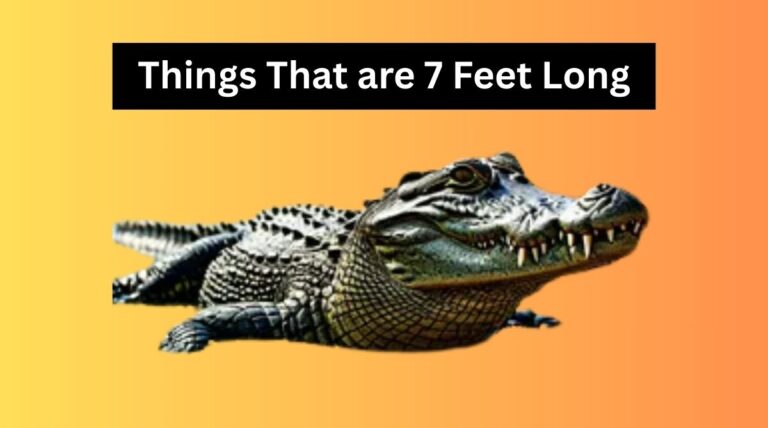 Things that are 7 Feet Long