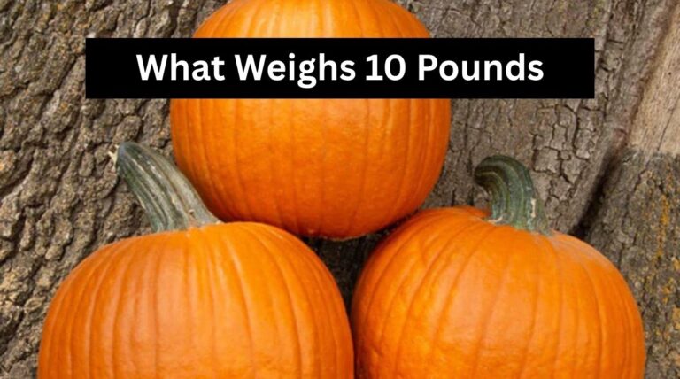 What Weighs 10 Pounds