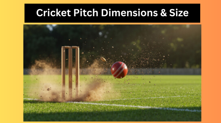 Cricket Pitch Dimensions & Size