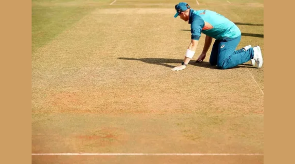 Dry Cricket Pitch