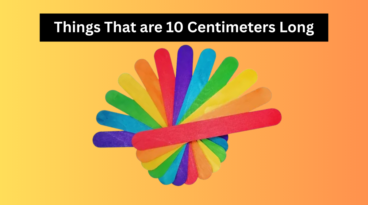 Things That are 10 Centimeters Long