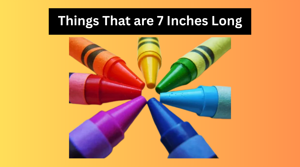 Things that are 7 Inches Long