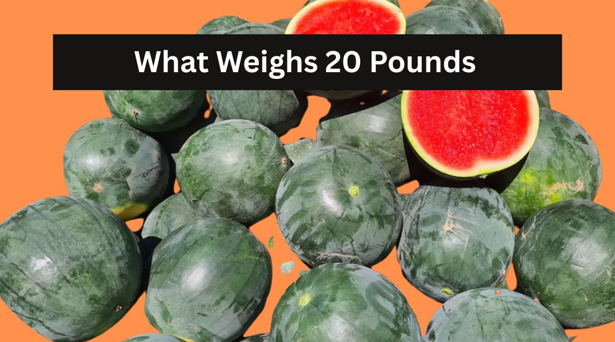 What Weighs 20 Pounds