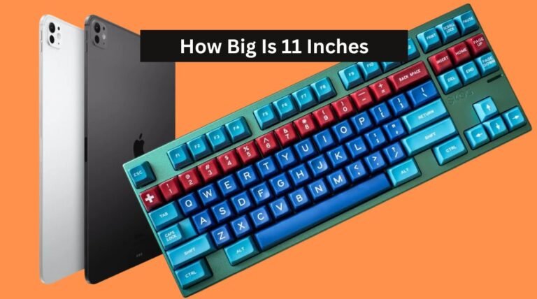 How Big Is 11 Inches