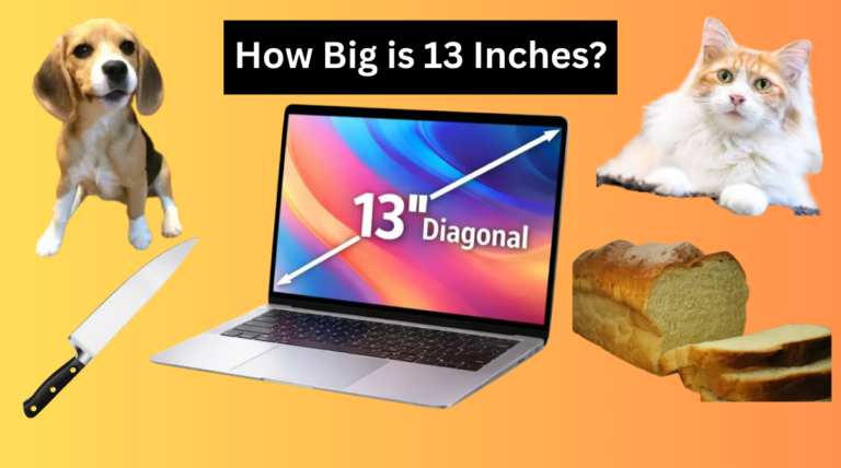 How Big is 13 Inches?