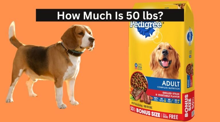 How Much Is 50 lbs?