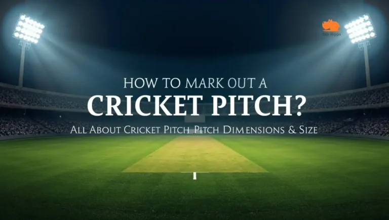 cricket pitch
