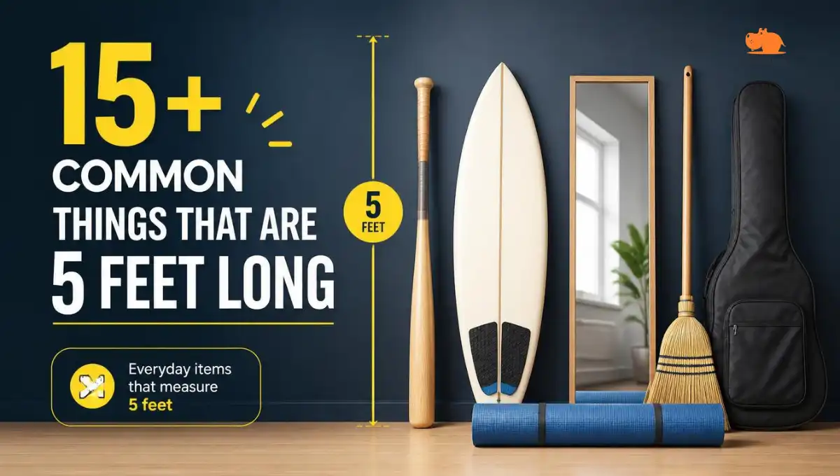 15+ Common Things That Are 5 Feet Long