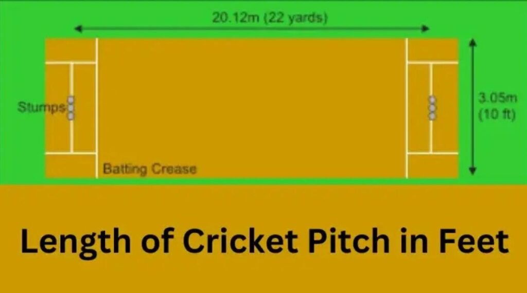Cricket Pitch Length In Feet