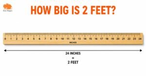 How Big Is 2 Feet? 17+ Common Things That Are 2 Feet Long